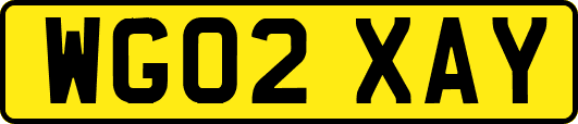 WG02XAY