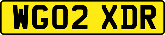 WG02XDR