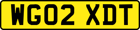 WG02XDT