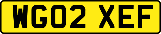 WG02XEF