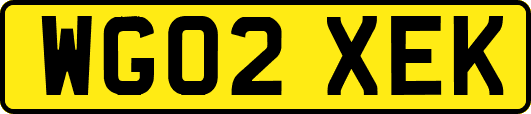 WG02XEK