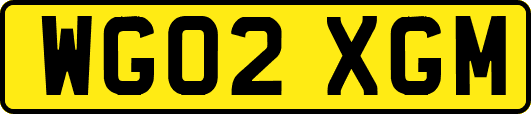 WG02XGM