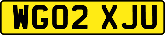 WG02XJU
