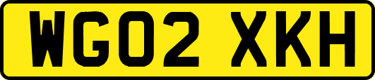 WG02XKH