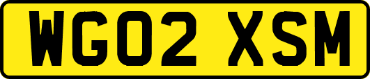 WG02XSM