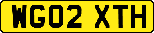 WG02XTH