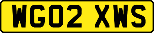 WG02XWS