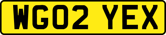 WG02YEX