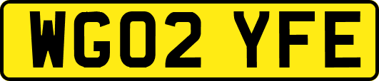 WG02YFE