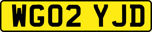 WG02YJD