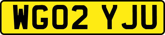 WG02YJU