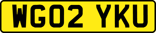 WG02YKU