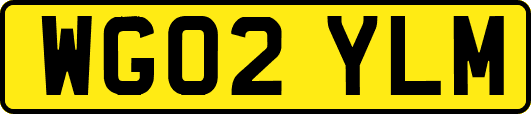 WG02YLM