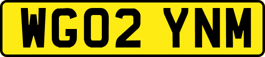 WG02YNM
