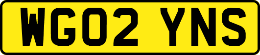WG02YNS