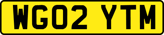 WG02YTM