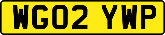 WG02YWP