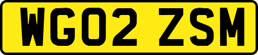 WG02ZSM