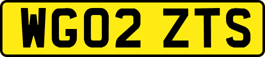 WG02ZTS