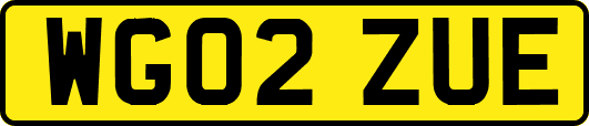 WG02ZUE