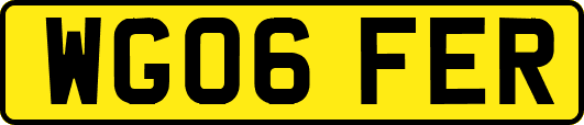 WG06FER