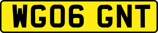 WG06GNT
