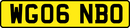 WG06NBO