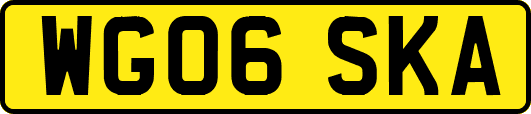 WG06SKA