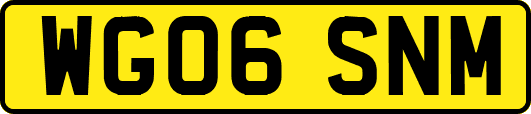 WG06SNM