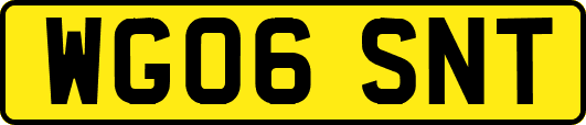 WG06SNT