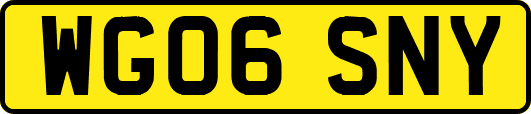 WG06SNY