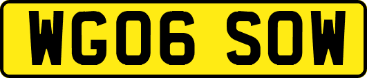 WG06SOW