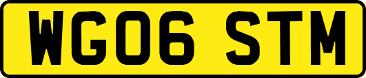 WG06STM