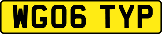 WG06TYP