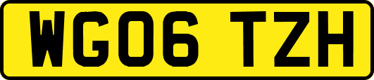WG06TZH