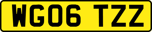 WG06TZZ