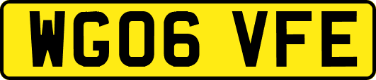 WG06VFE