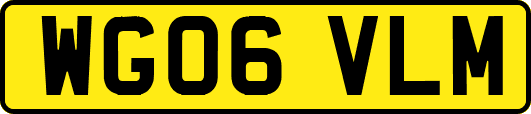 WG06VLM