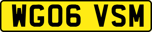 WG06VSM