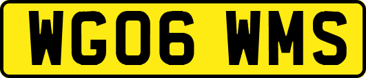 WG06WMS