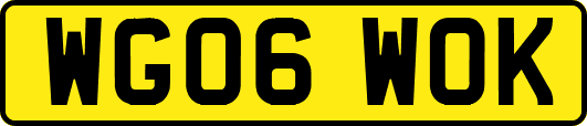 WG06WOK