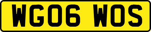 WG06WOS