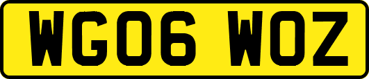 WG06WOZ