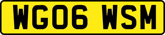 WG06WSM