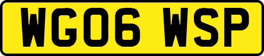 WG06WSP