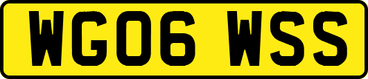 WG06WSS