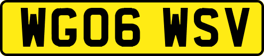 WG06WSV