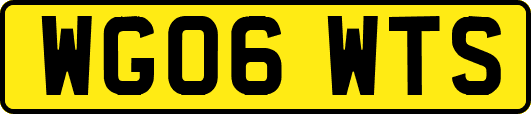 WG06WTS