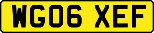 WG06XEF
