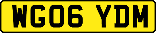 WG06YDM